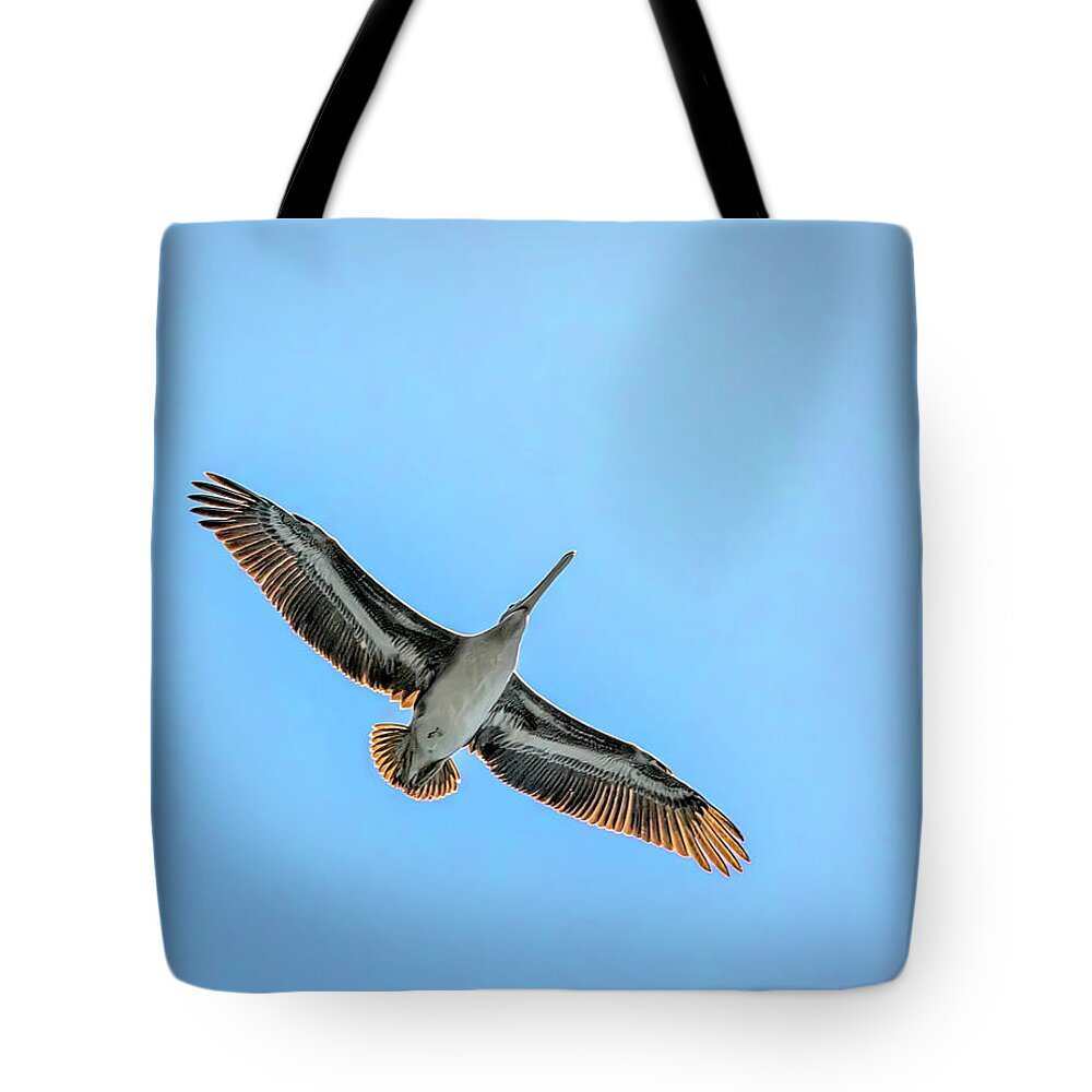 Brown Pelican Tote Bag featuring the photograph Pelican Overhead by Endre Balogh