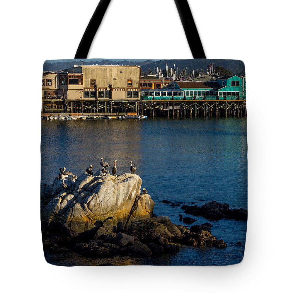 Pelicans Tote Bag featuring the photograph Pelican Place by Derek Dean