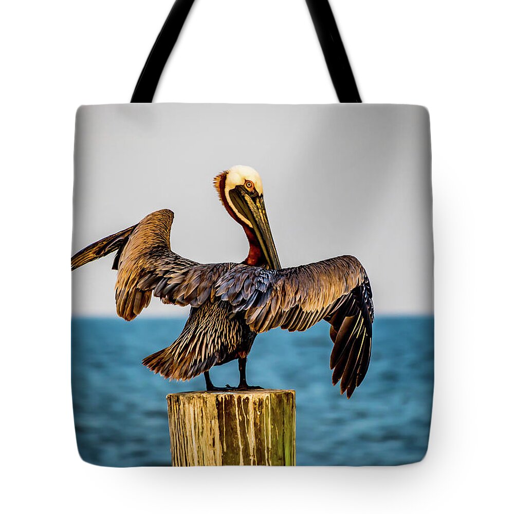 Pelican Tote Bag featuring the photograph Pelican Stand Off by JASawyer Imaging