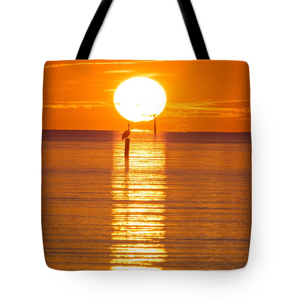 Pelicans Tote Bag featuring the photograph Pelican Sunset by Metaphor Photo