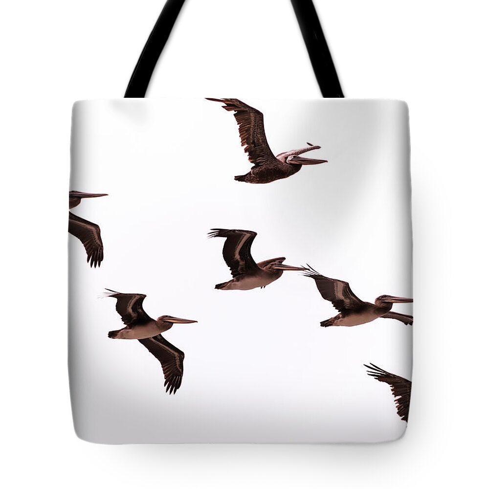 Pelicans Tote Bag featuring the photograph Pelicans at Half Moon Bay by Steven Richman