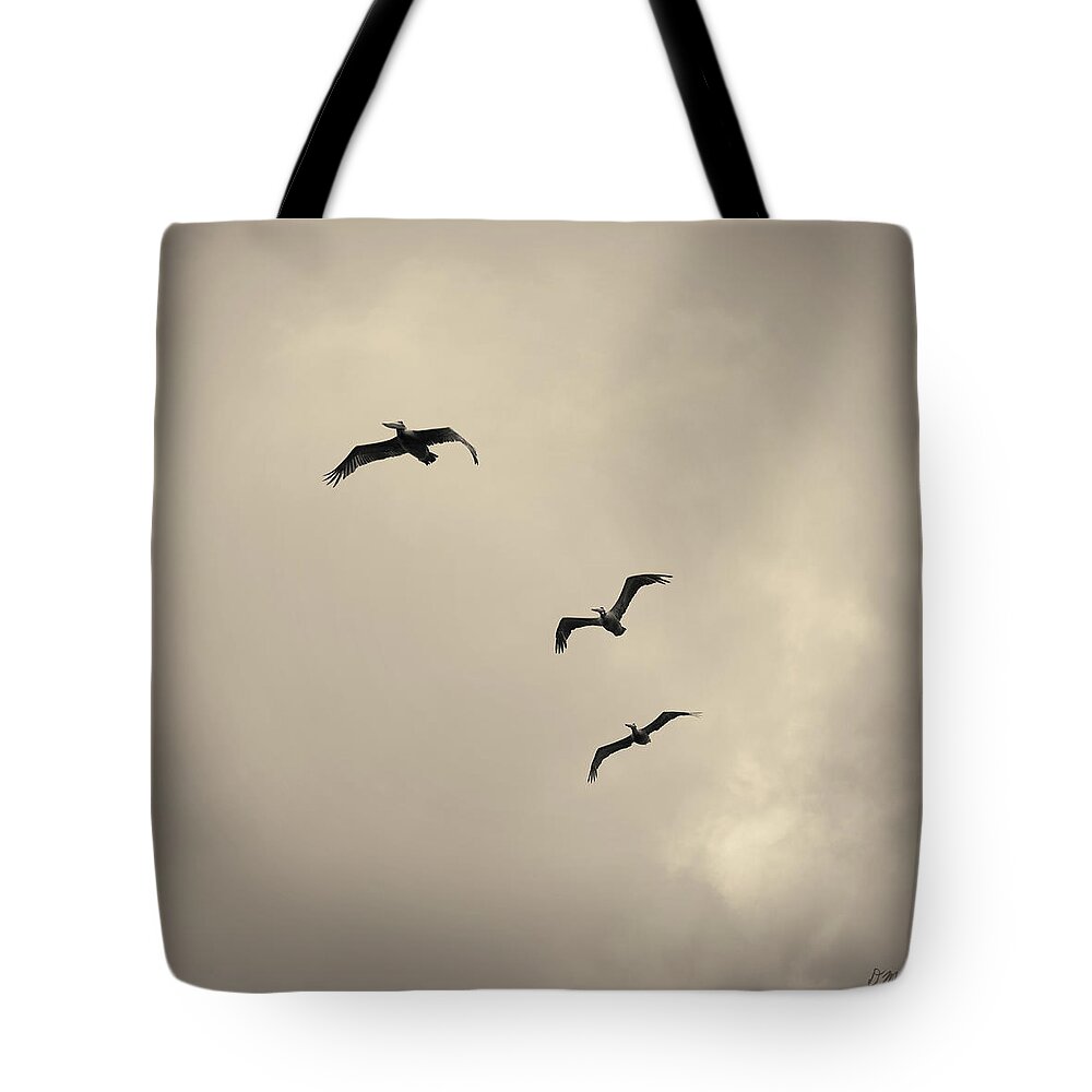 Pelican Tote Bag featuring the photograph Pelicans in Flight I Toned by David Gordon