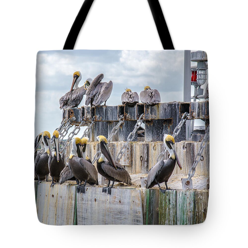 Mayport Tote Bag featuring the photograph Pelicans of Mayport by Valerie Cason