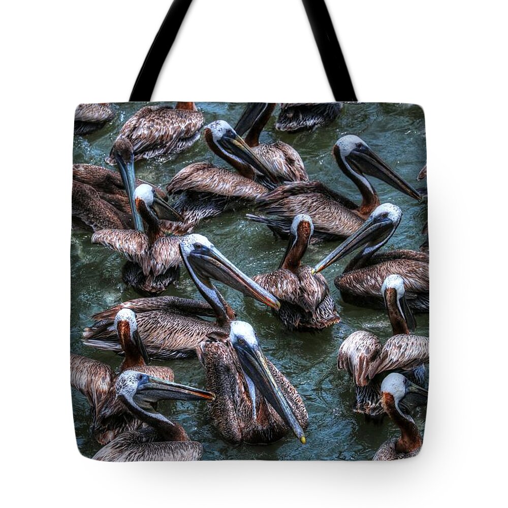 Carol R Montoya Tote Bag featuring the photograph Pelicans Wait For Left Overs by Carol Montoya