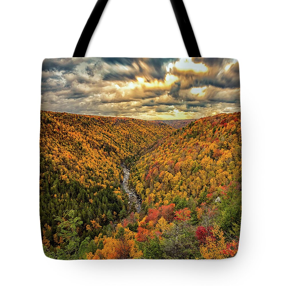 Blackwater Canyon Tote Bag featuring the photograph Pendleton Point Turbulence by C Renee Martin