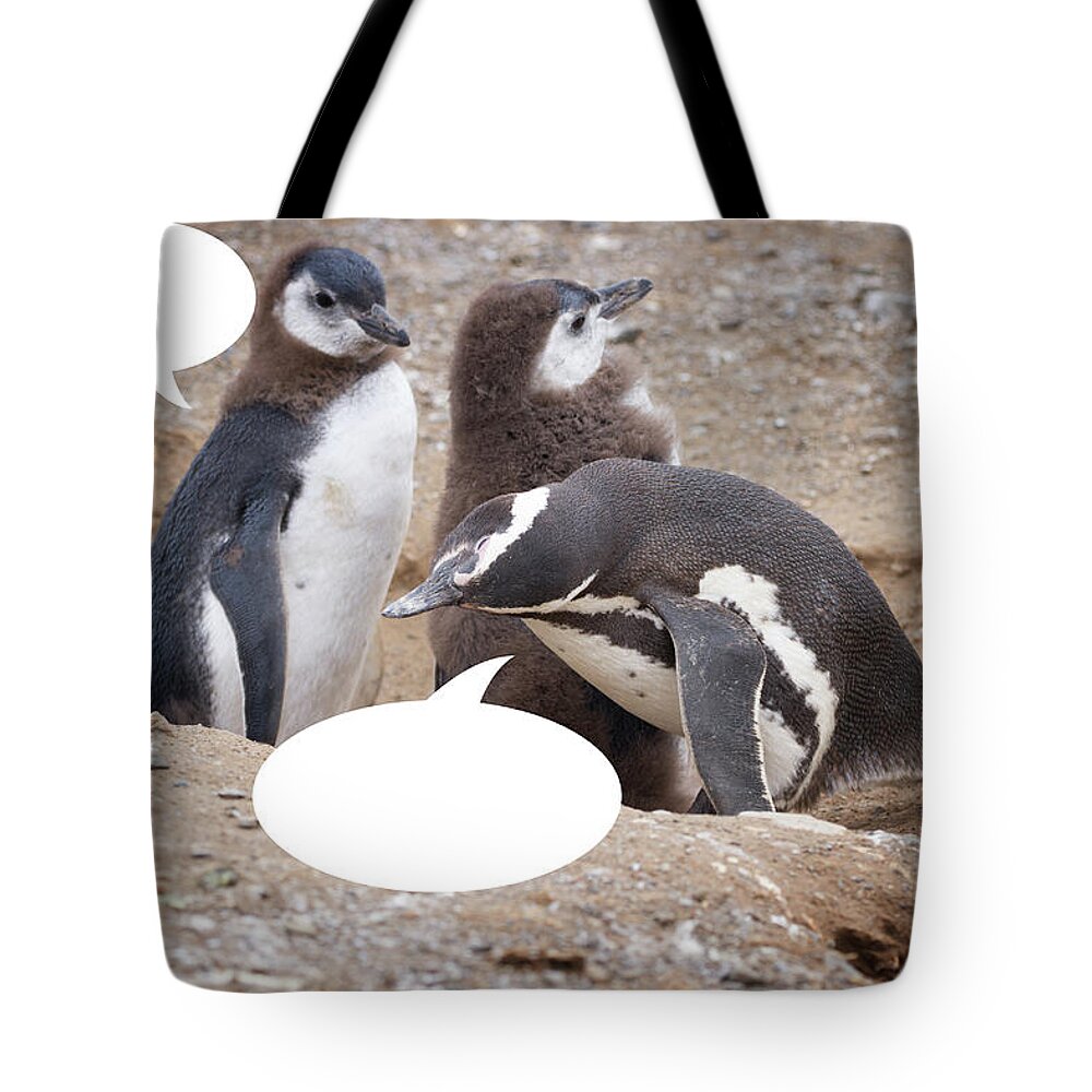 Penguins Tote Bag featuring the photograph Penguins Are Funny 11 by John Haldane