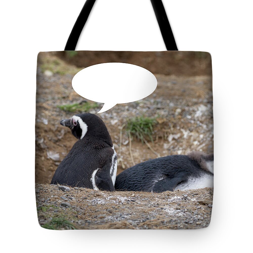 Penguins Tote Bag featuring the photograph Penguins are Funny 2 by John Haldane