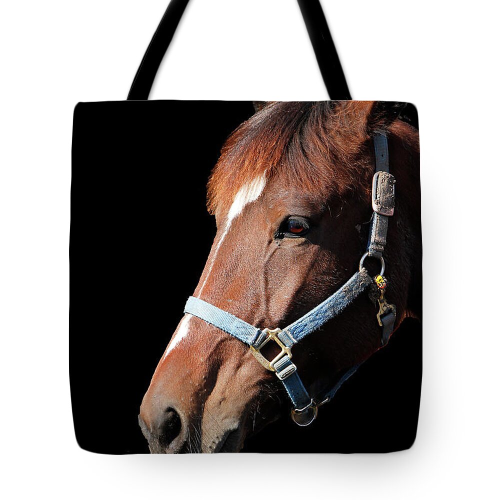 Fauna Tote Bag featuring the photograph Pensive Portrait by Mariarosa Rockefeller
