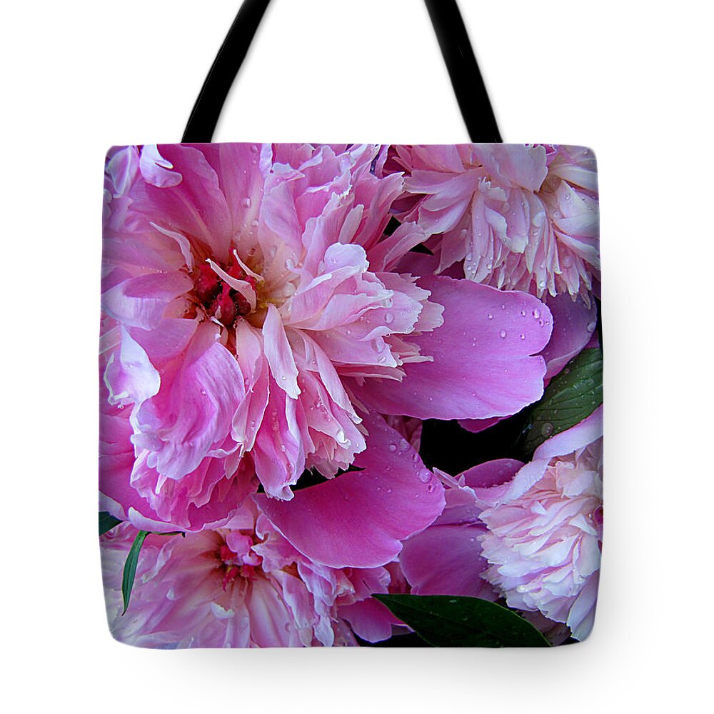 Peonies Under The Weather Tote Bag featuring the photograph Peonies Under the Weather by Jessica Anne