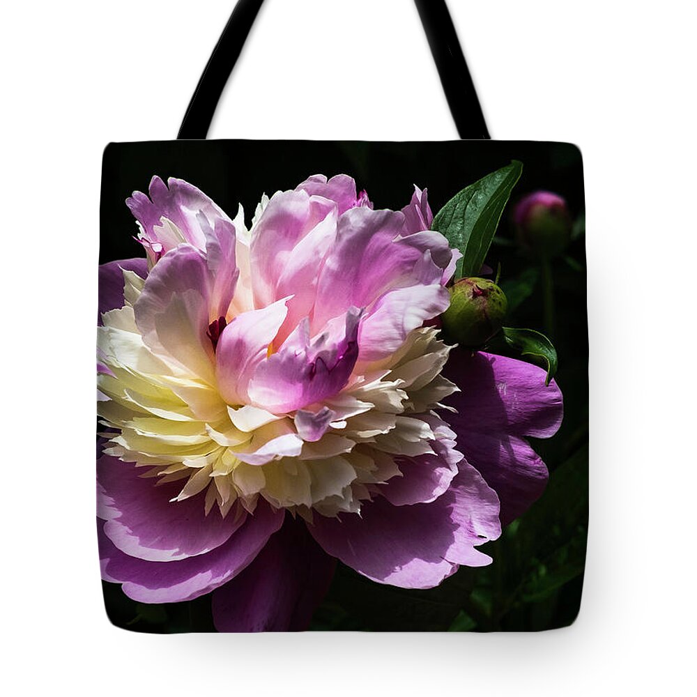 Spring Tote Bag featuring the photograph Peony in June by John Roach