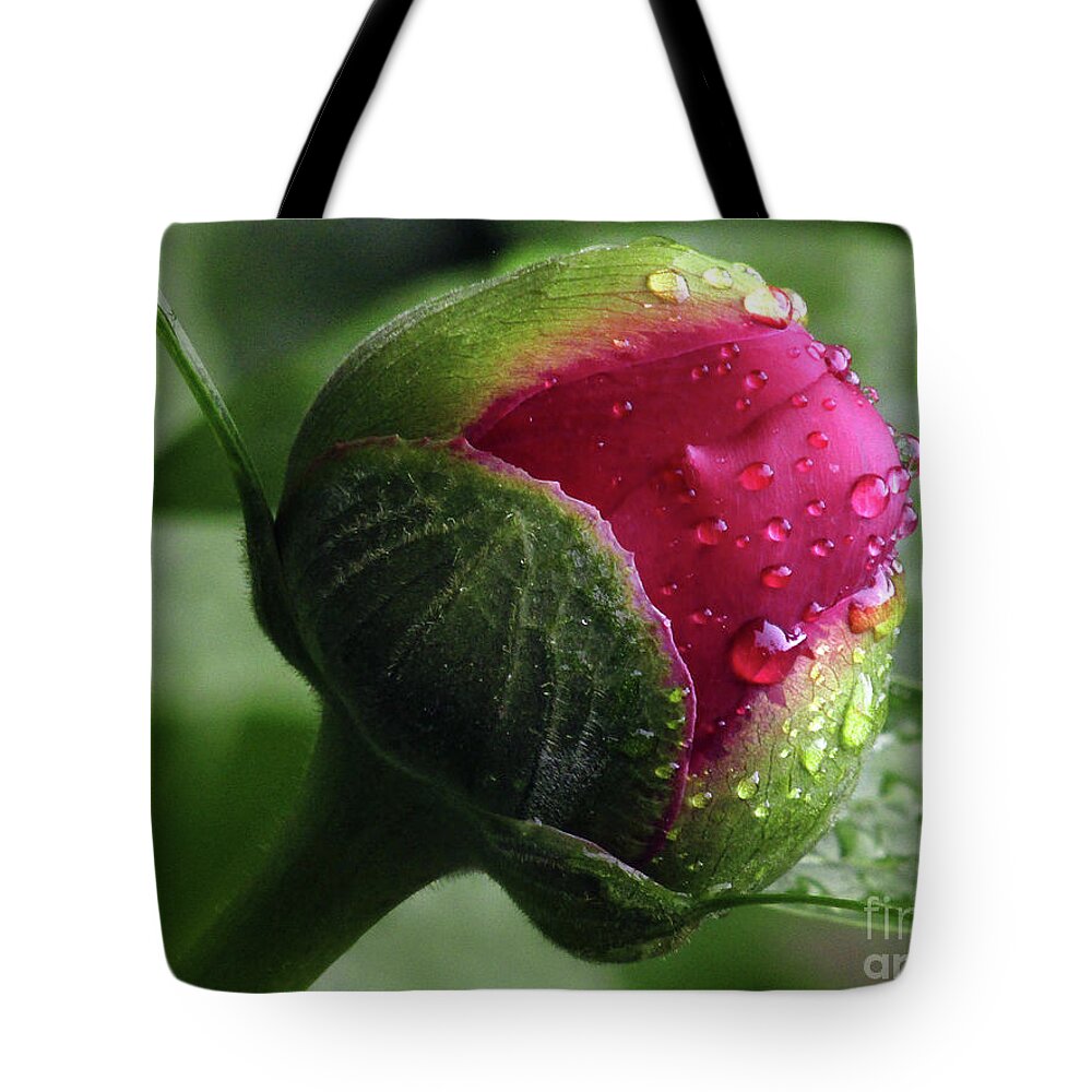 Peony Tote Bag featuring the photograph Peony Love 2 by Kim Tran