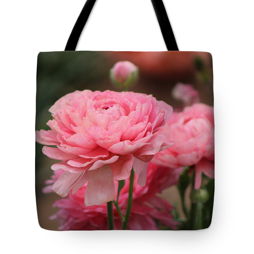 Pink Ranunculus Tote Bag featuring the photograph Peony Pink Ranunculus Closeup by Colleen Cornelius