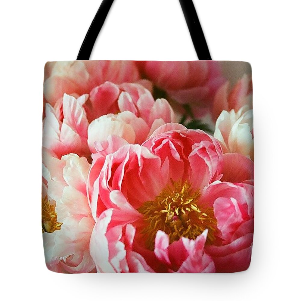 Peony Light Pink Lush Petals Tote Bag featuring the photograph Peony Series 1-5 by J Doyne Miller