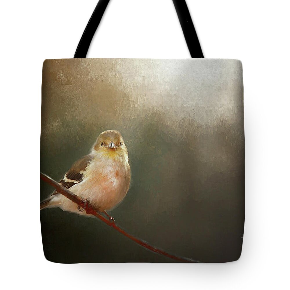 Perched Goldfinch Tote Bag featuring the photograph Perched Goldfinch by Darren Fisher