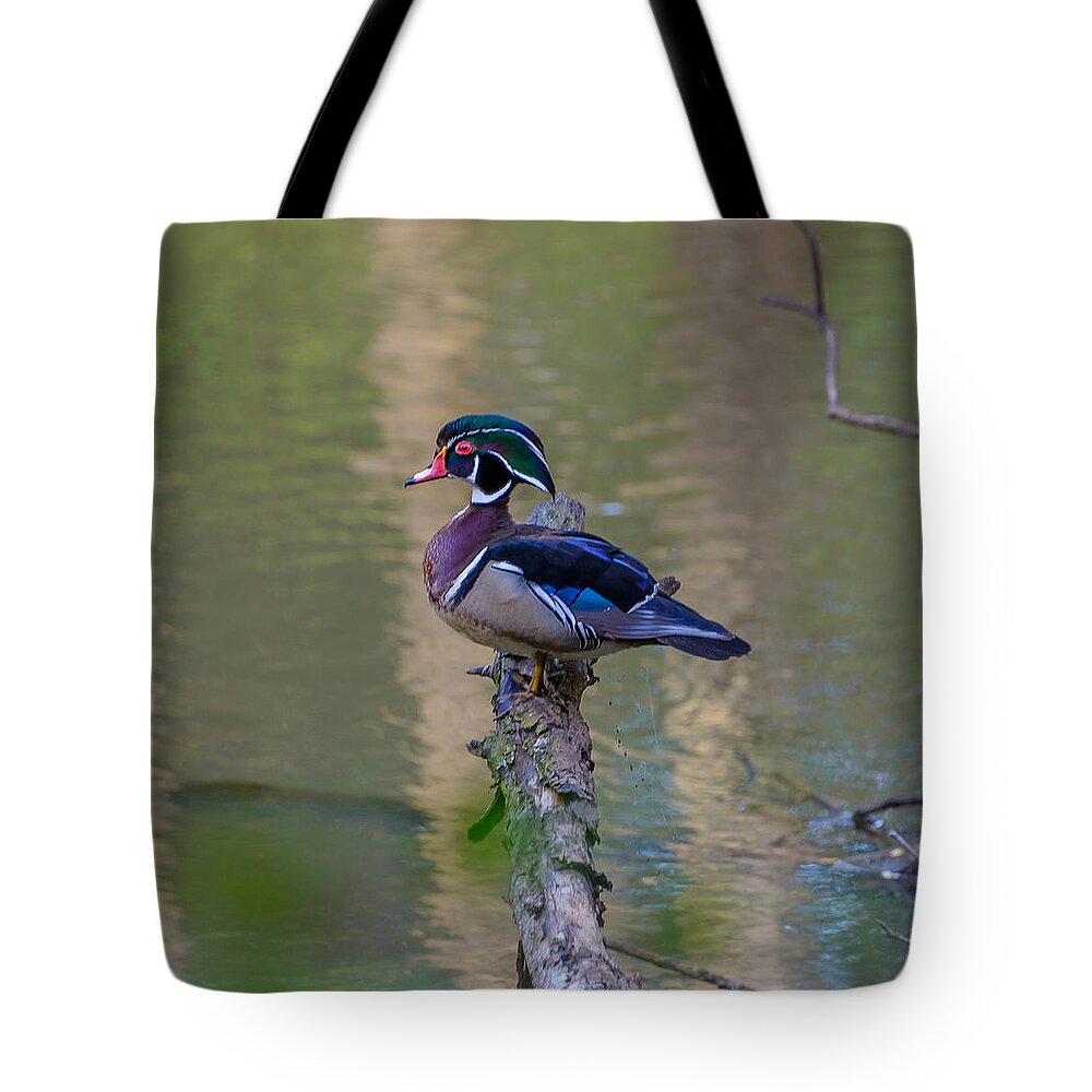 Wood Duck Tote Bag featuring the photograph Perched Wood Duck by Jerry Cahill