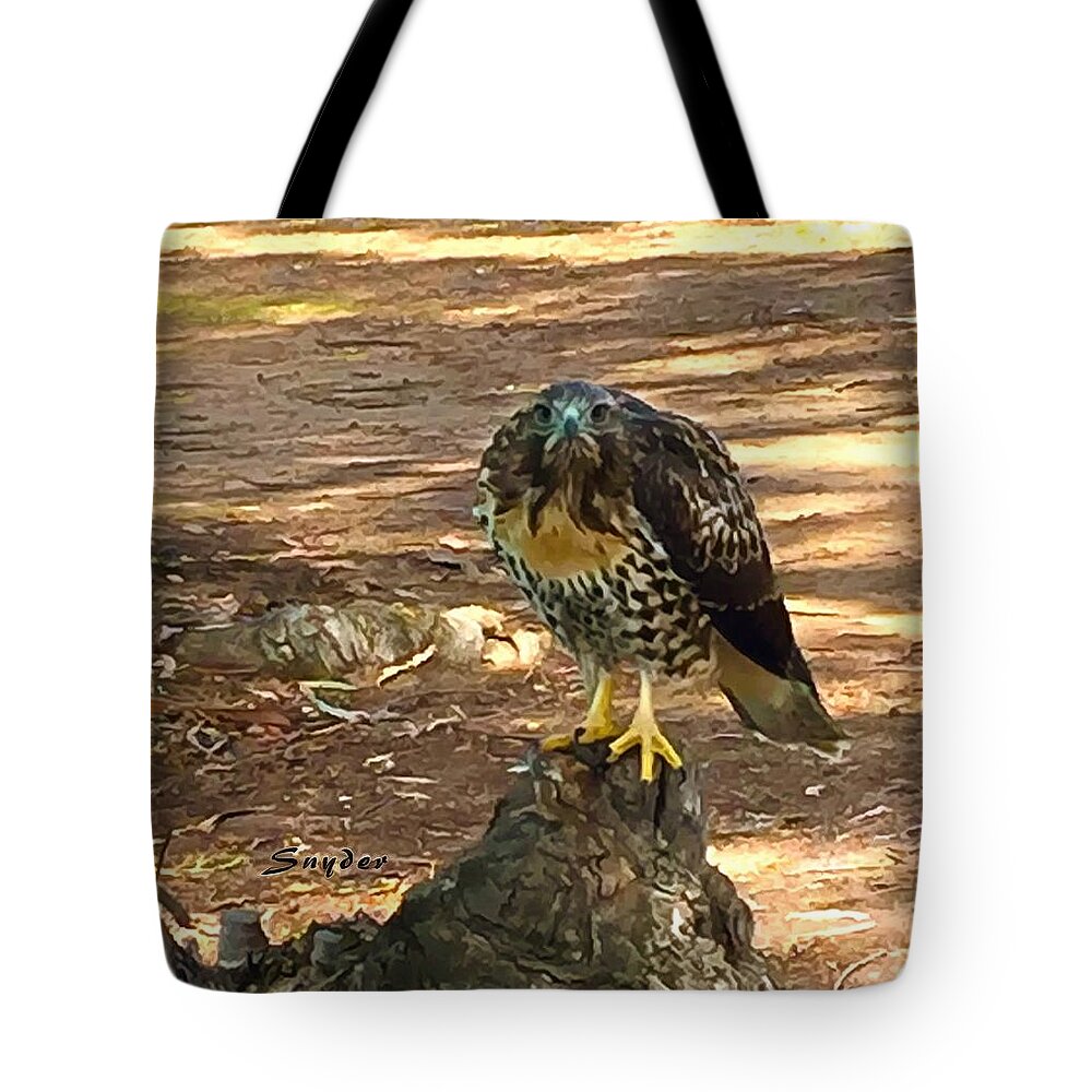 Peregrine Falcon Tote Bag featuring the photograph Peregrine Falcon Santa Maria Country Club by Floyd Snyder