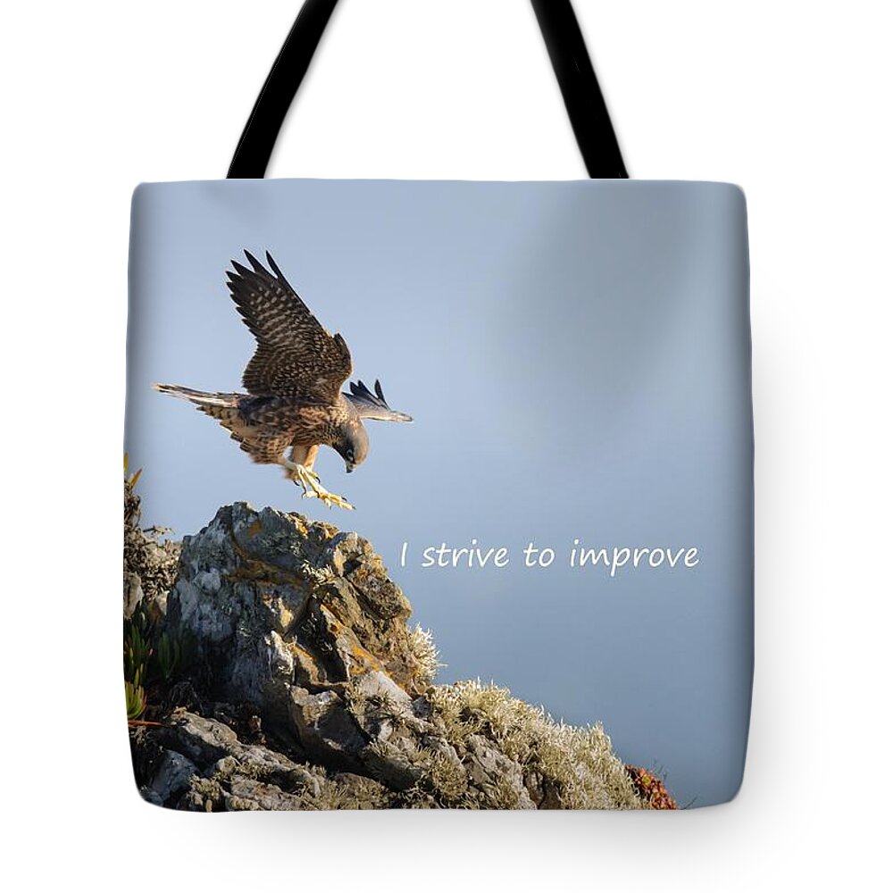  Tote Bag featuring the photograph Peregrine Falcon says I Strive to Improve by Sherry Clark