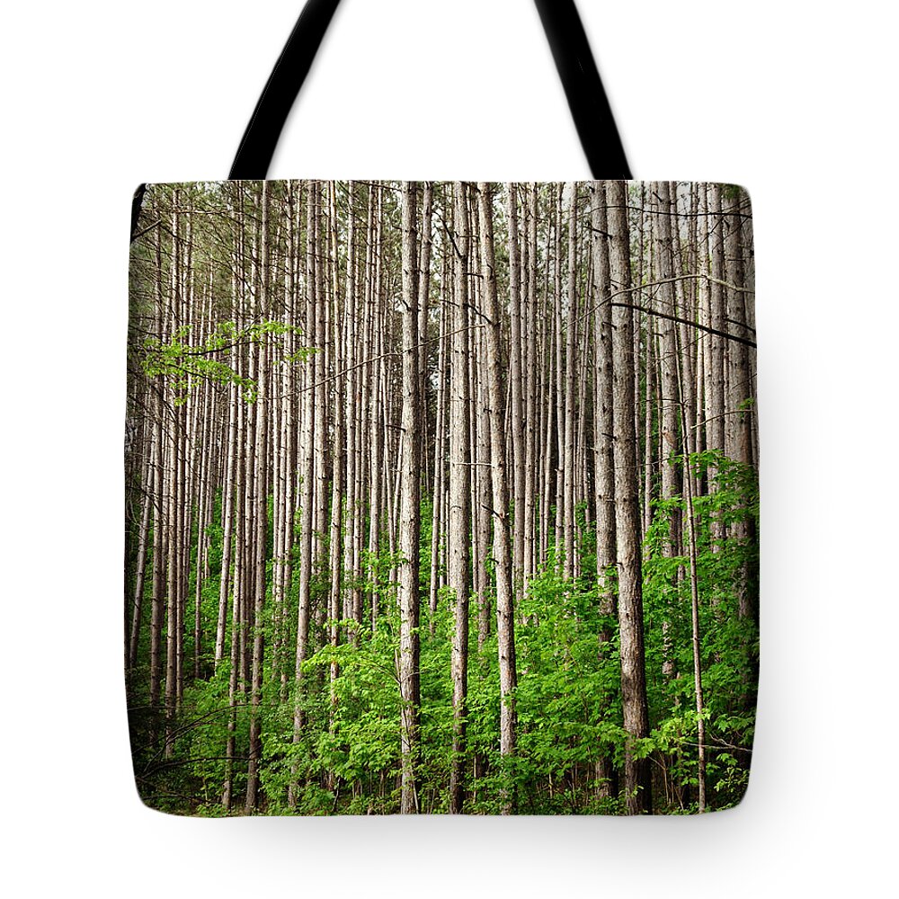 Perfect Path Tote Bag featuring the photograph Perfect path by Cyryn Fyrcyd