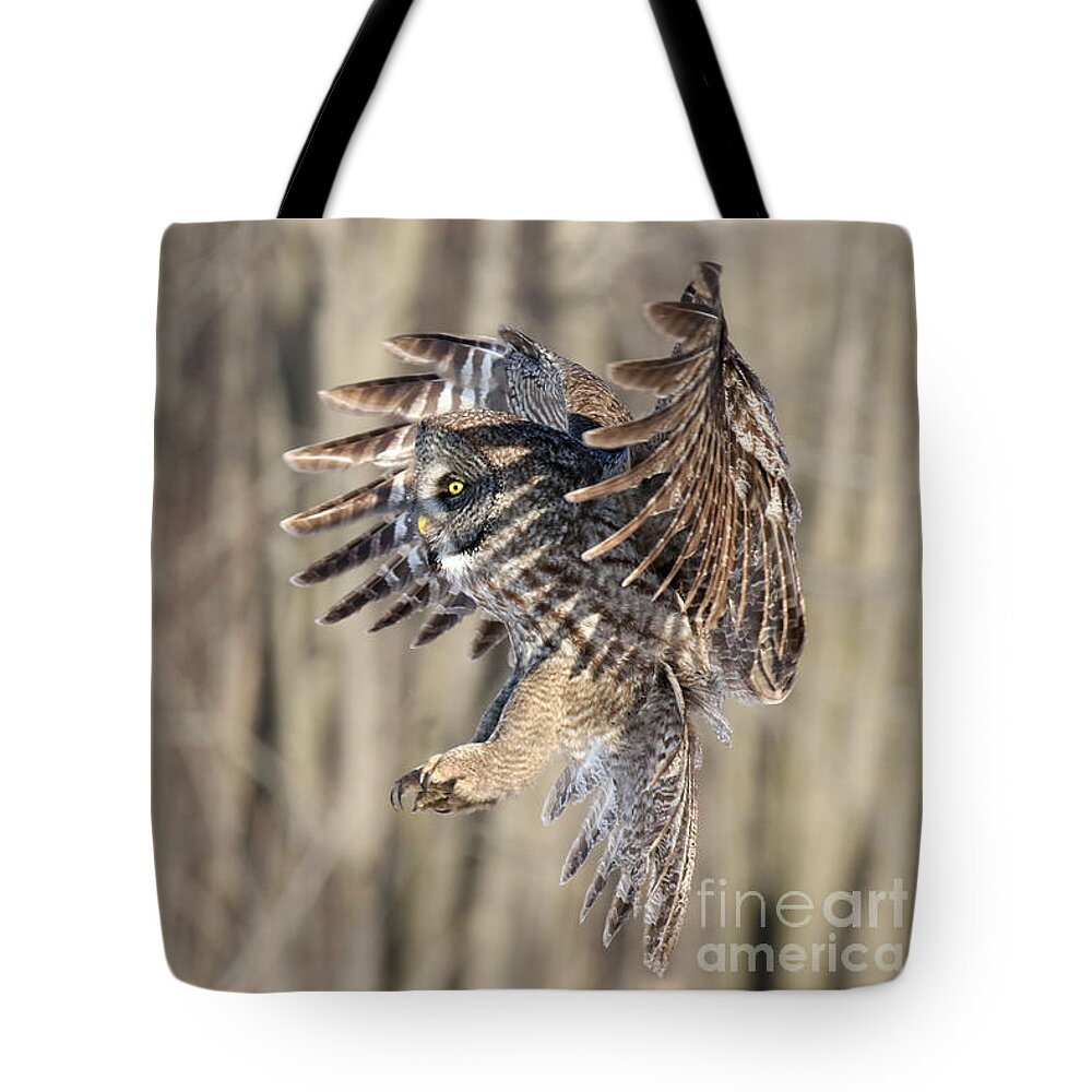 Owls Tote Bag featuring the photograph Perfect Shadow by Heather King