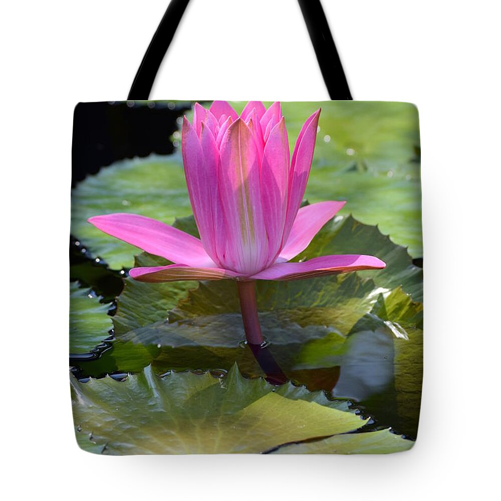 Lily Tote Bag featuring the photograph Perfection by Deborah Crew-Johnson