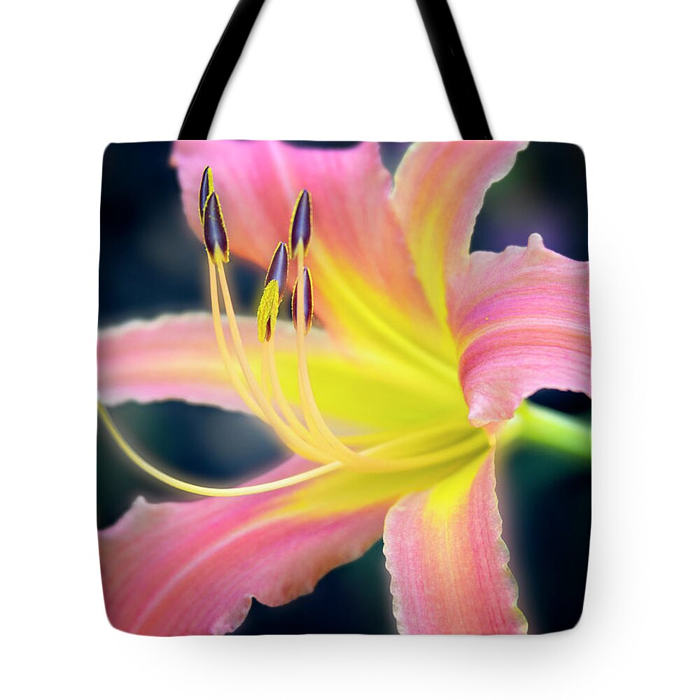 Beautiful Tote Bag featuring the photograph Perfection of a bloom. by Usha Peddamatham