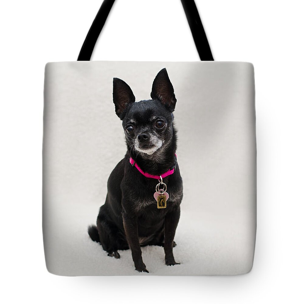 Pet Angel Photography Tote Bag featuring the photograph Perlita 5 by Irina ArchAngelSkaya