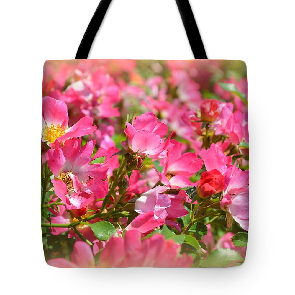Roses Tote Bag featuring the photograph Petal Softly by Linda Covino