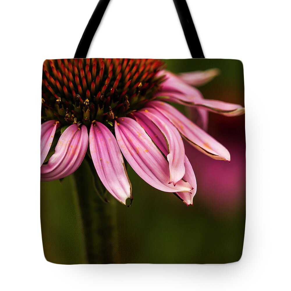 Trio Of Echinacea. Jean Noren Tote Bag featuring the photograph Petals Crossed by Jean Noren
