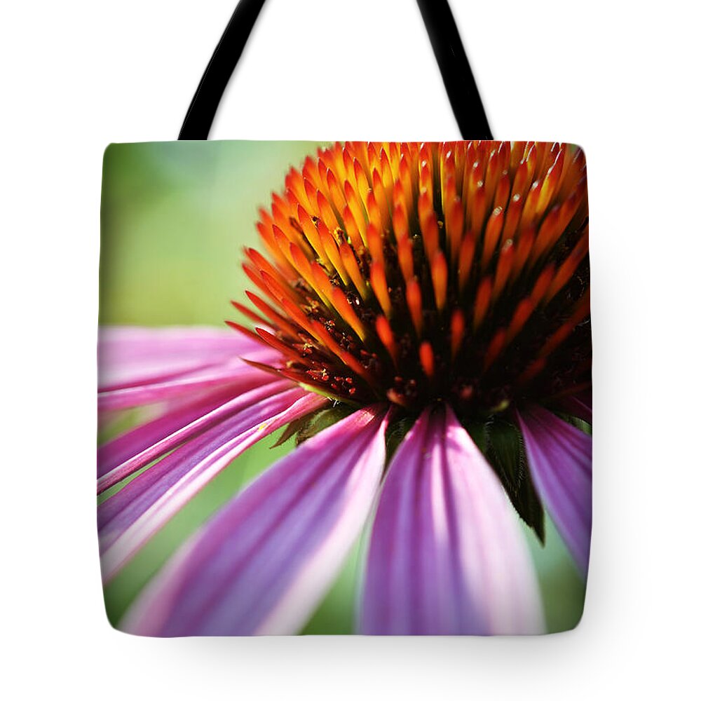 Flower Tote Bag featuring the photograph Petal's Edge by Andrea Platt