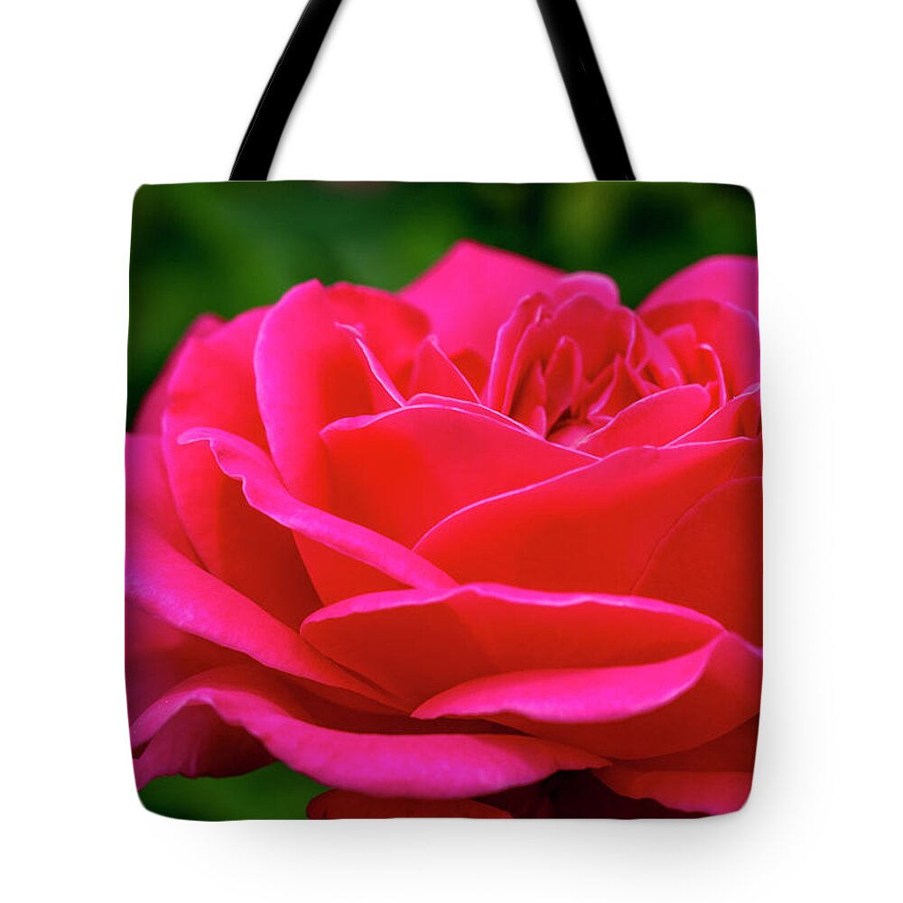 Valentine Tote Bag featuring the photograph Petals of a Bright Pink Rose by Teri Virbickis
