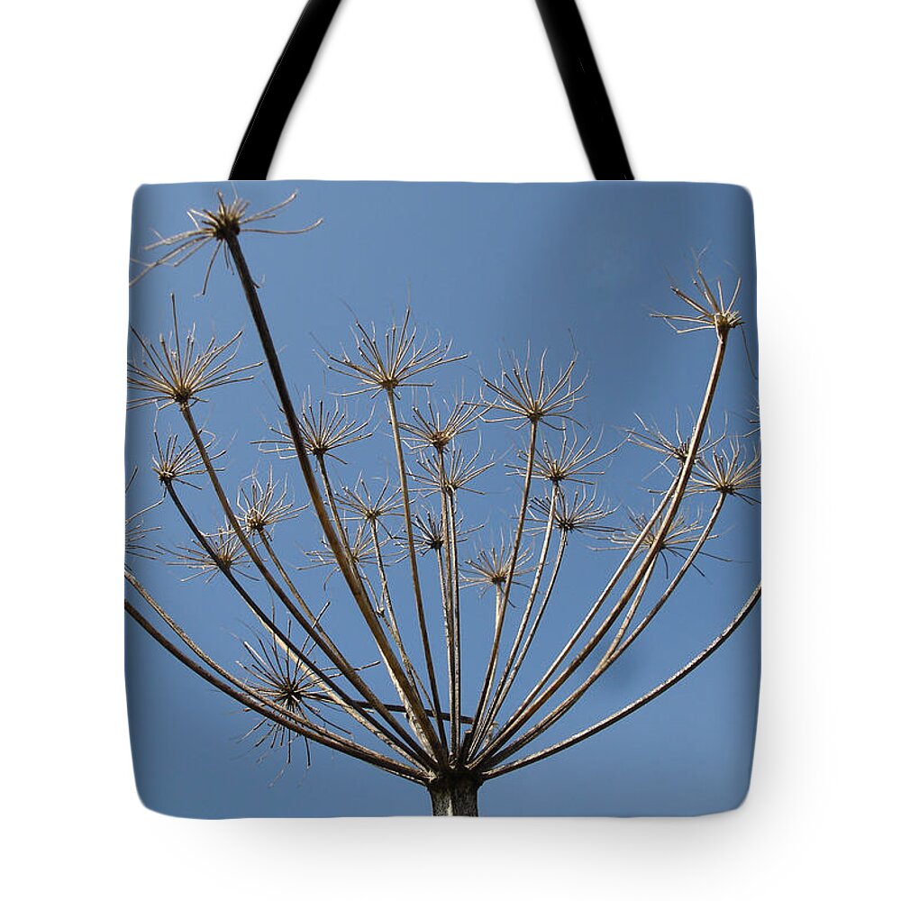 Flora Tote Bag featuring the photograph Petite parasols by Susan Baker