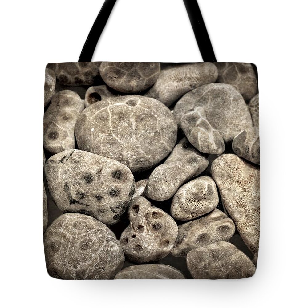 Stone Tote Bag featuring the photograph Petoskey Stones Vl by Michelle Calkins