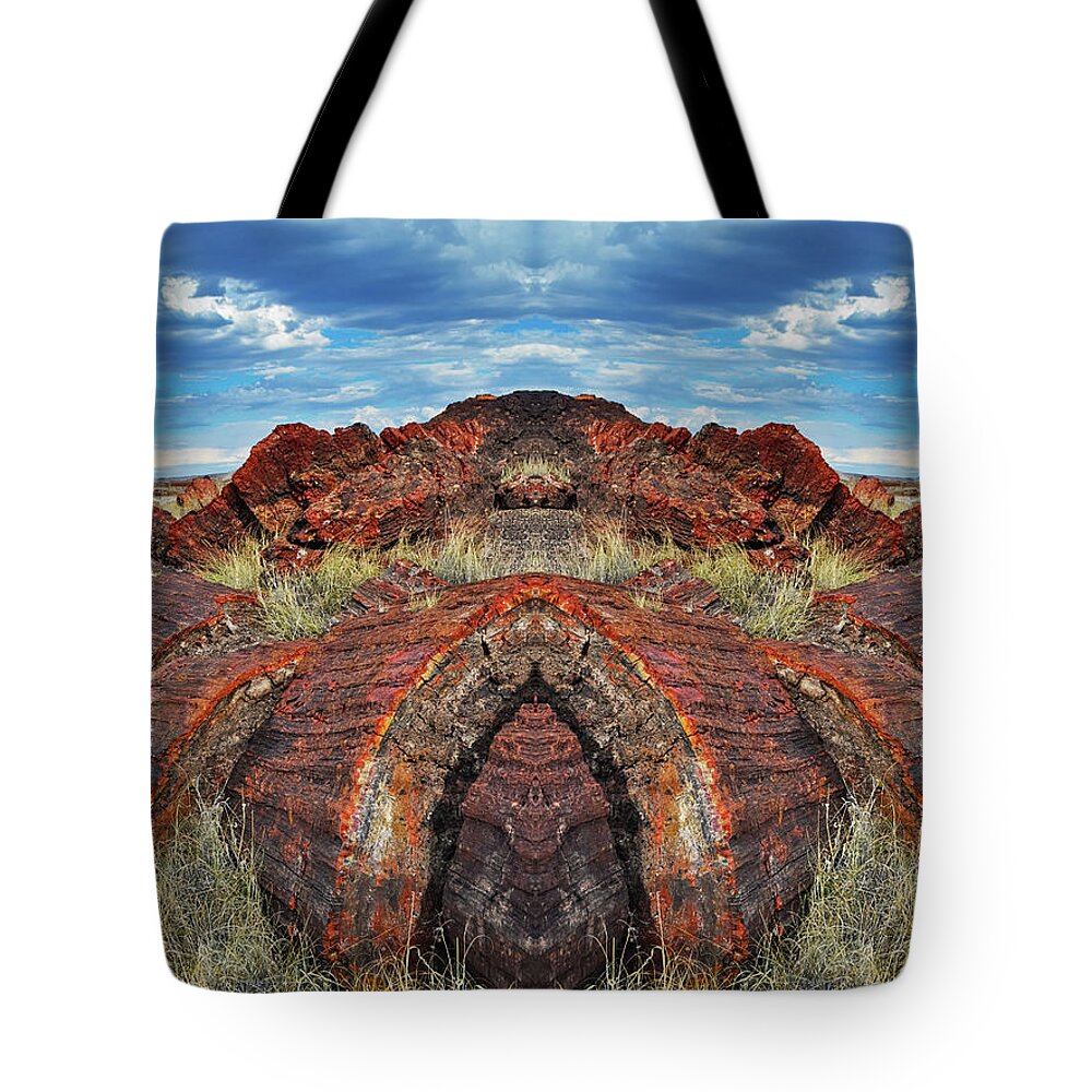 Petrified Forest National Park Tote Bag featuring the photograph Petrified Forest Arizona Mirror by Kyle Hanson