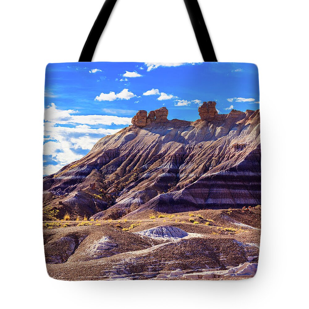 Arizona Tote Bag featuring the photograph Petrified Forest V by Raul Rodriguez