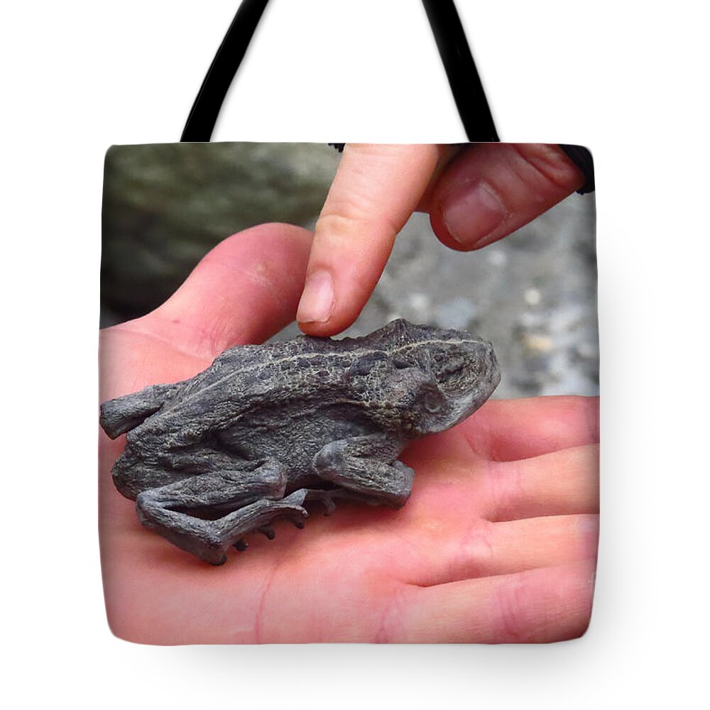 Frog Tote Bag featuring the photograph Petrified Frog by Craig Corwin