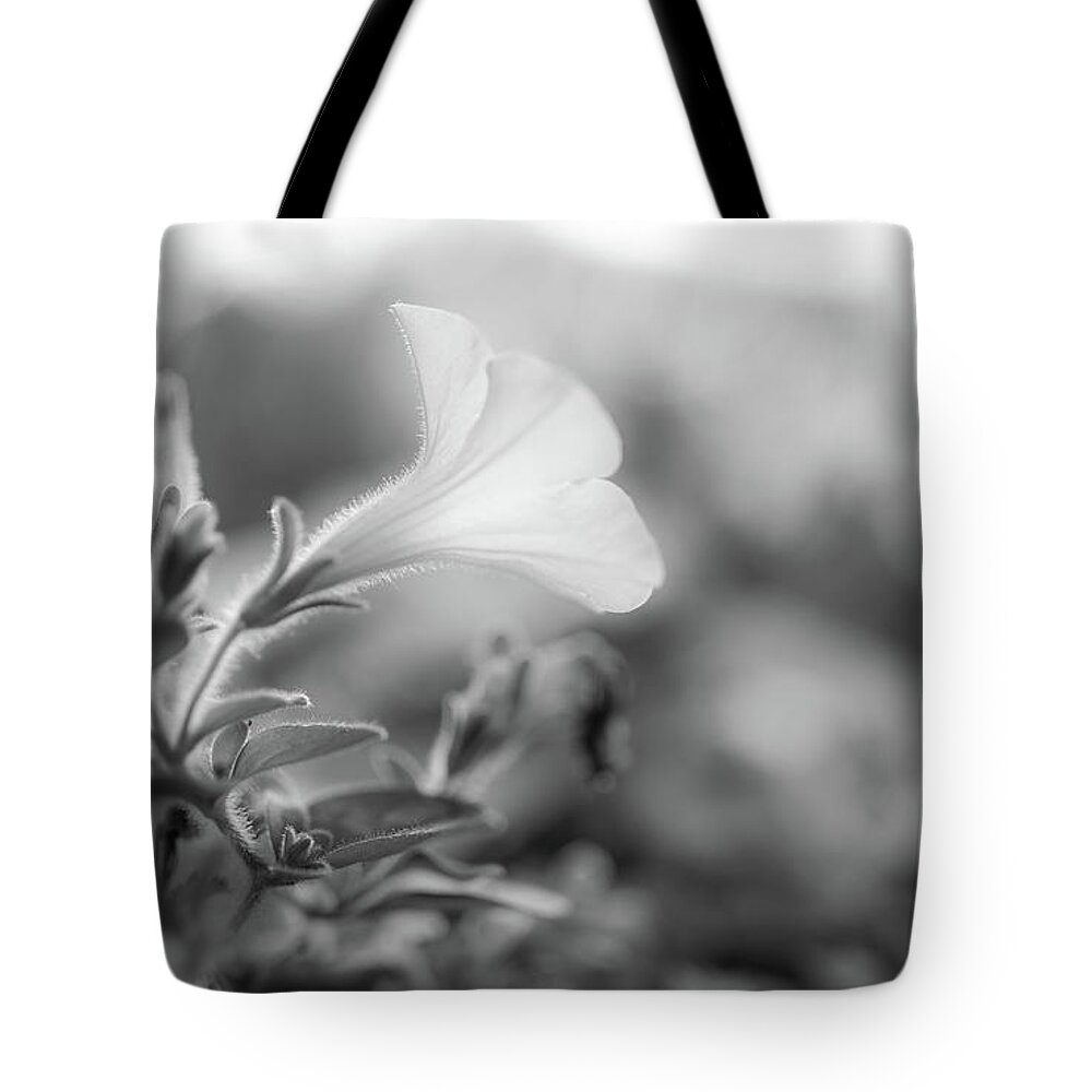 Petunia Tote Bag featuring the photograph Petunia Impressions by Bob Orsillo