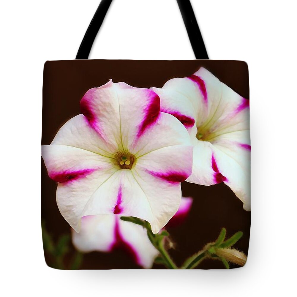 Petunia Tote Bag featuring the photograph Petunia by Jean Connor