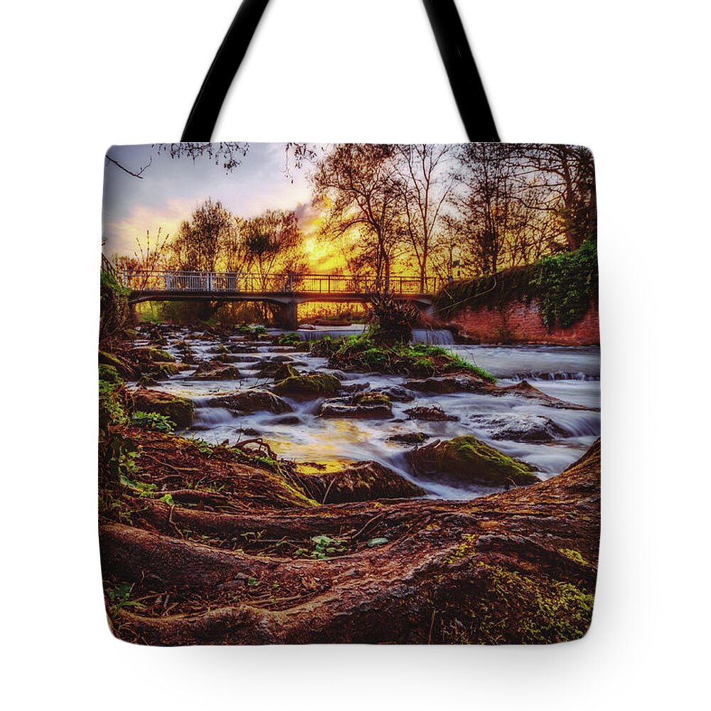 Worms Tote Bag featuring the photograph Pfrimm by Marc Braner
