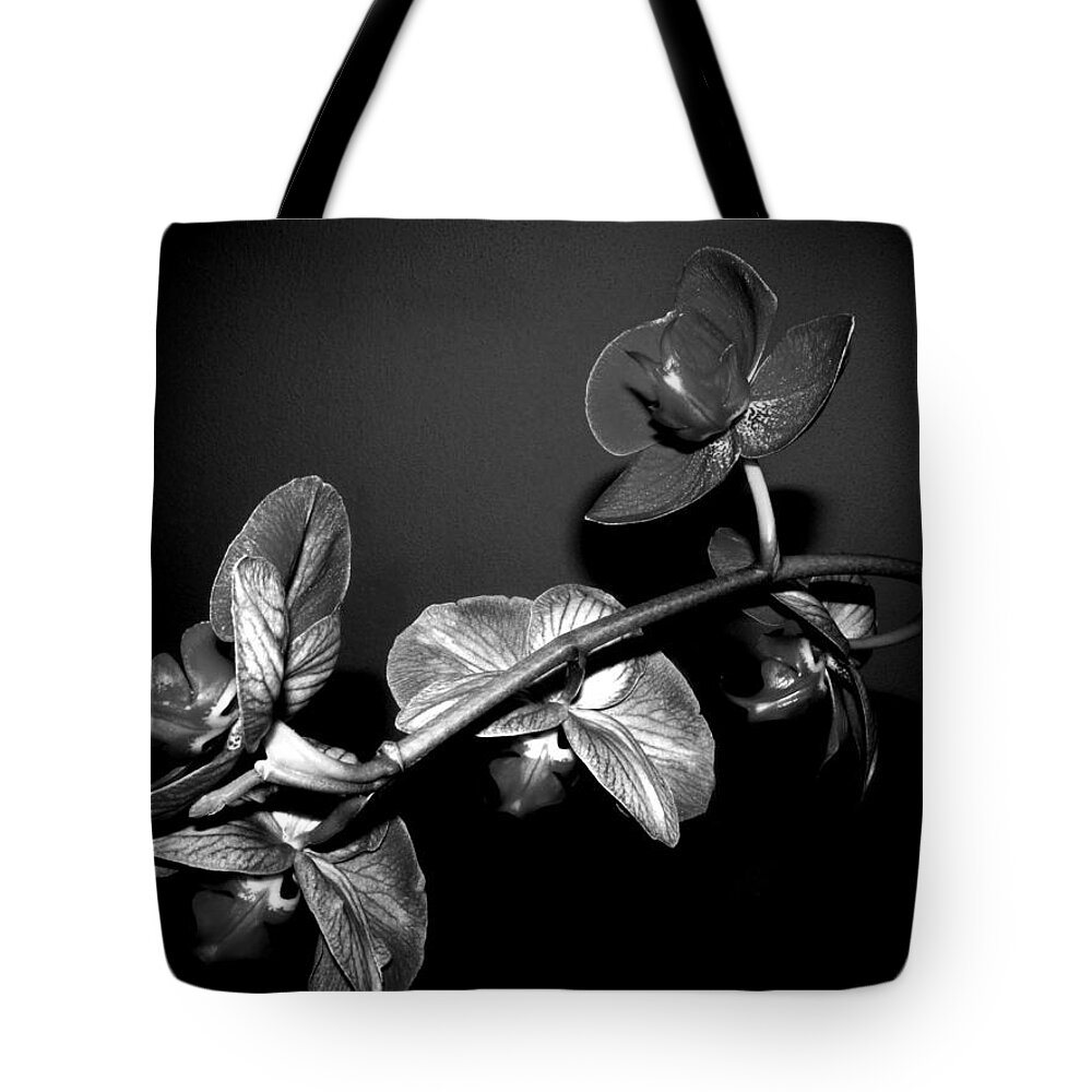 Black-and-white Tote Bag featuring the photograph Phalaenopsis Orchid Blooms Black and White by Joyce Dickens