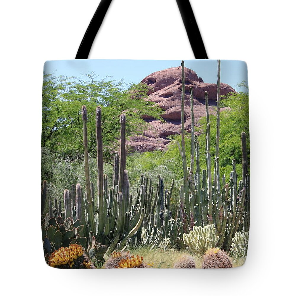 Desert Tote Bag featuring the photograph Phoenix Botanical Garden by Carol Groenen