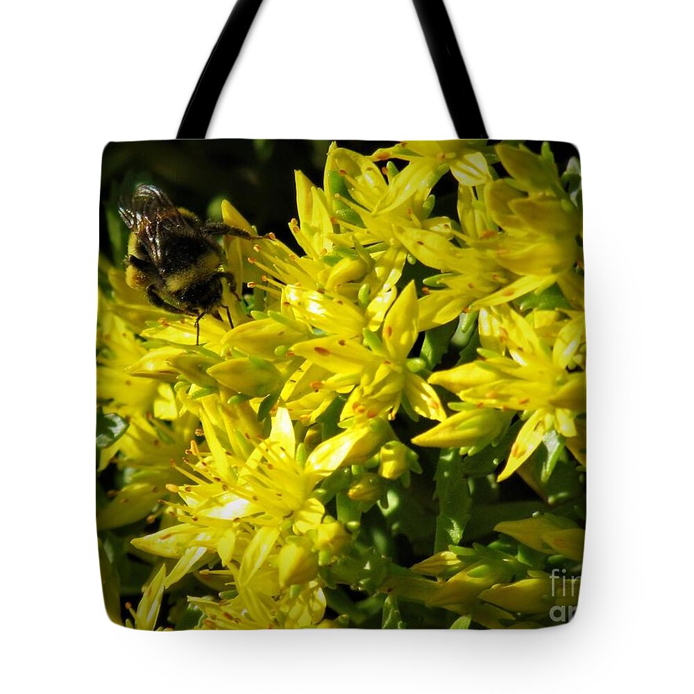 Photograph Tote Bag featuring the photograph Photograph of a Bee on Yellow Flowers by Delynn Addams