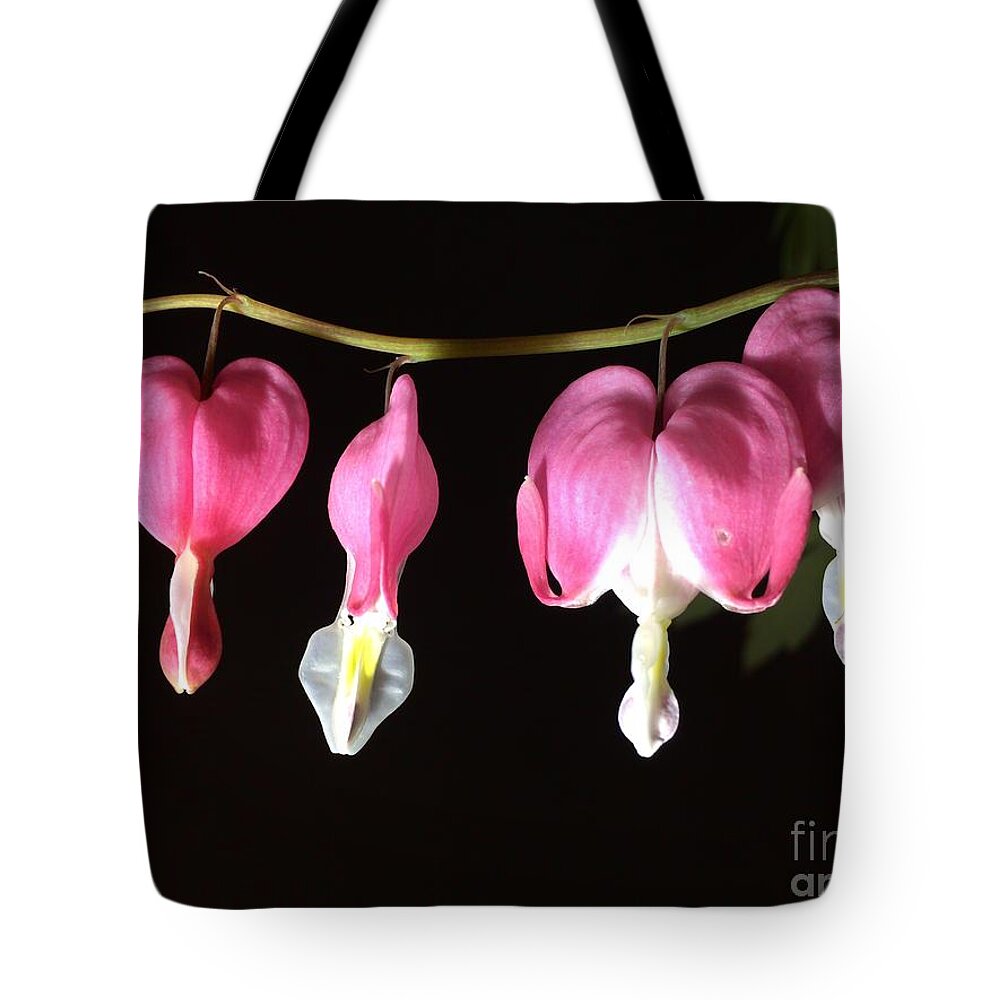 Photograph Tote Bag featuring the photograph Photograph of Pink Bleeding Heart by Delynn Addams by Delynn Addams