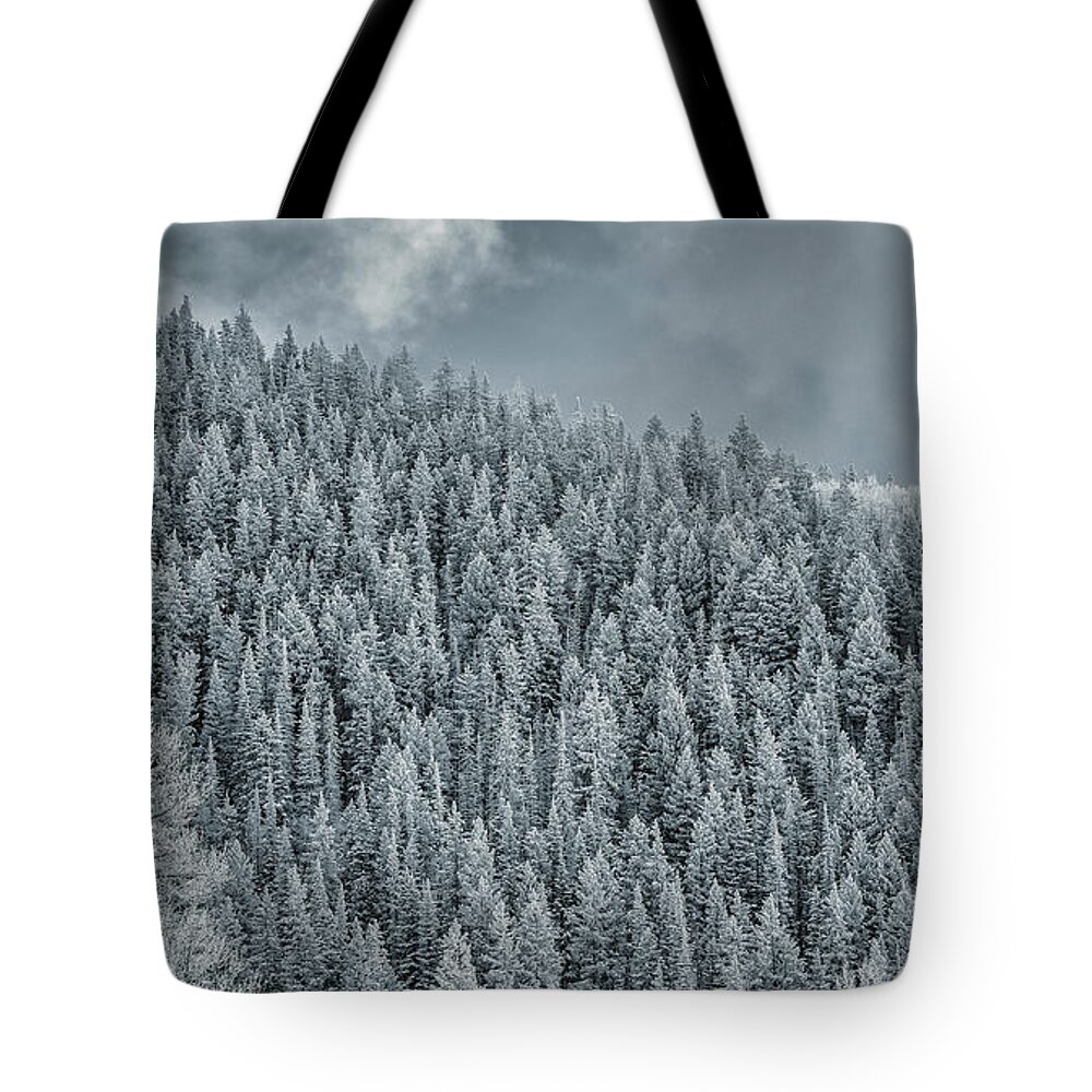 � 2015 Lou Novick All Rights Resvered Tote Bag featuring the photograph Winter Pines by Lou Novick
