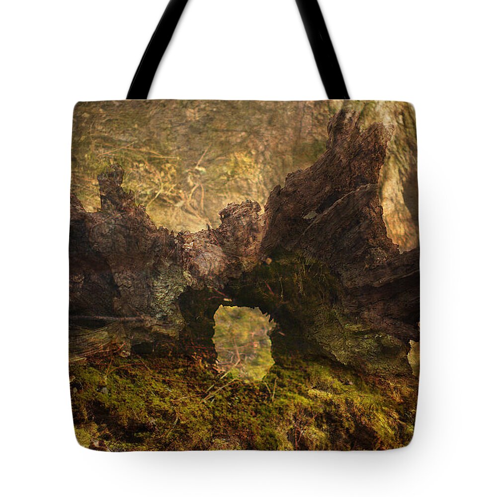 Photography Background Tote Bag featuring the photograph Photography Background Fantasy Woodland Fairy Faery Scenic by Suzanne Powers