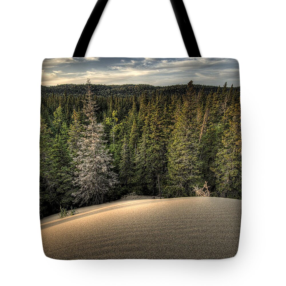 Lake Superior Tote Bag featuring the photograph Pic Dunes  by Doug Gibbons