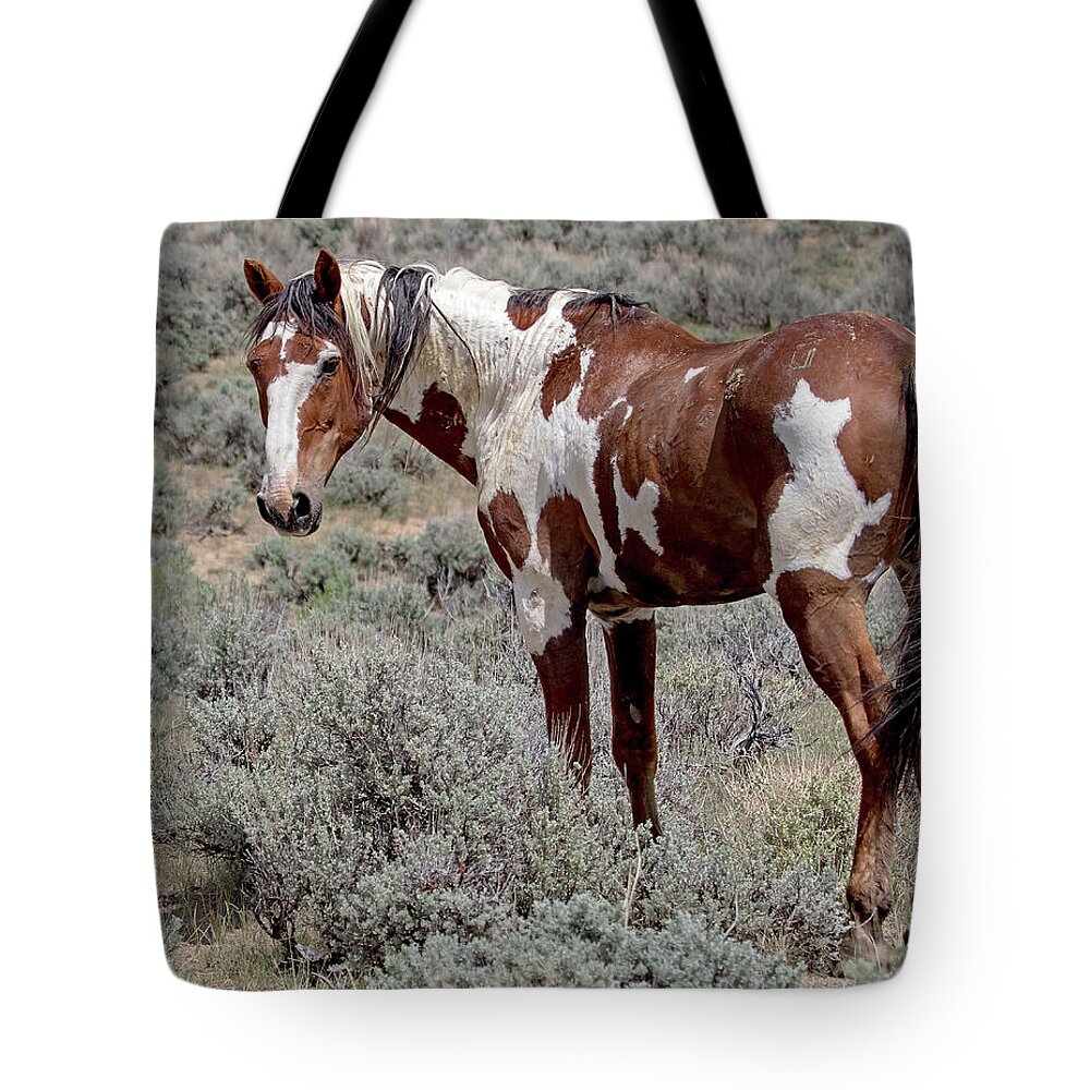Picasso Tote Bag featuring the photograph Picasso of Sand Wash Basin #2 by Mindy Musick King