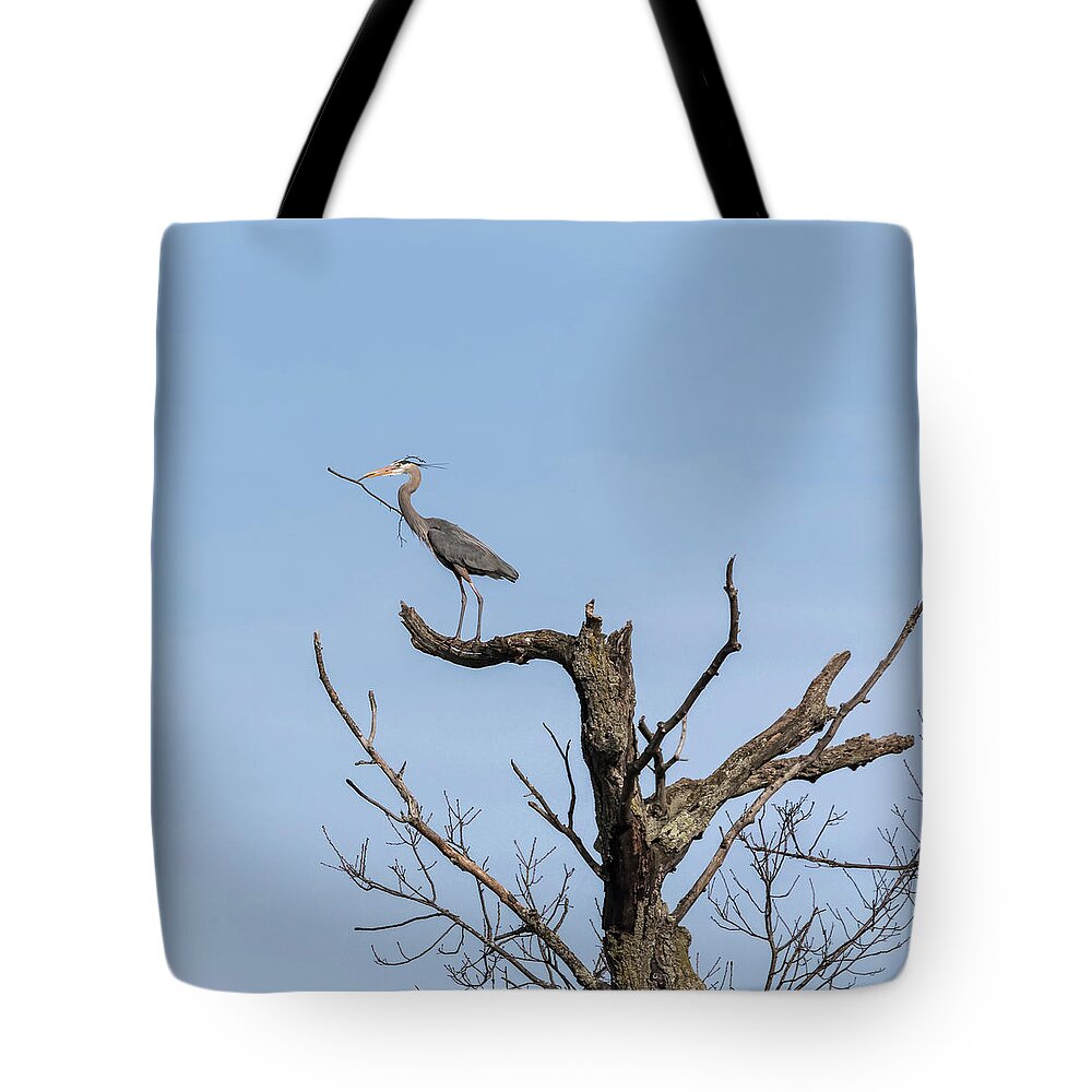 Great Blue Heron Tote Bag featuring the photograph Picking Sticks by Thomas Young