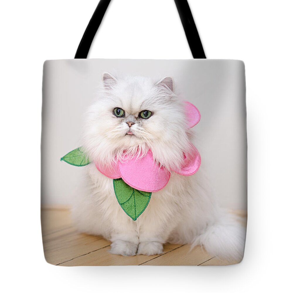 Cat Photography Tote Bag featuring the photograph Pickles by Irina ArchAngelSkaya