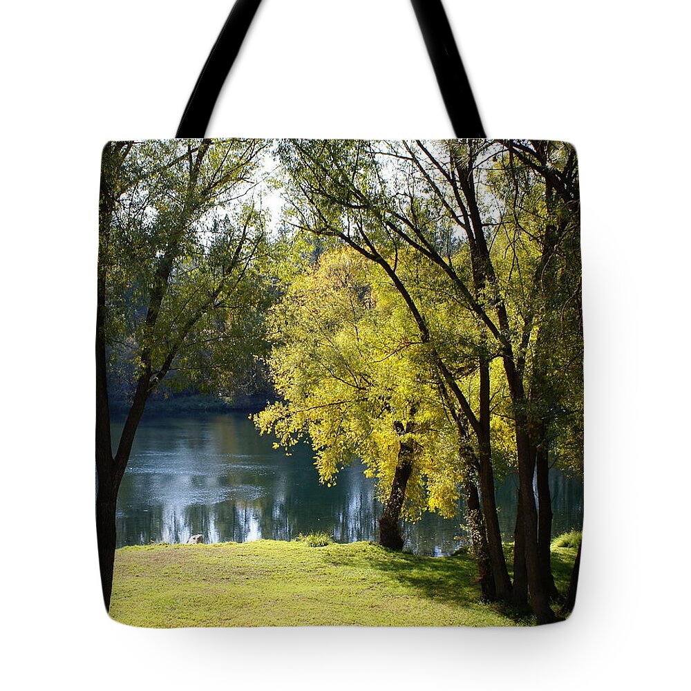 Nature Tote Bag featuring the photograph Picnic Spot on Spokane River by Ben Upham III