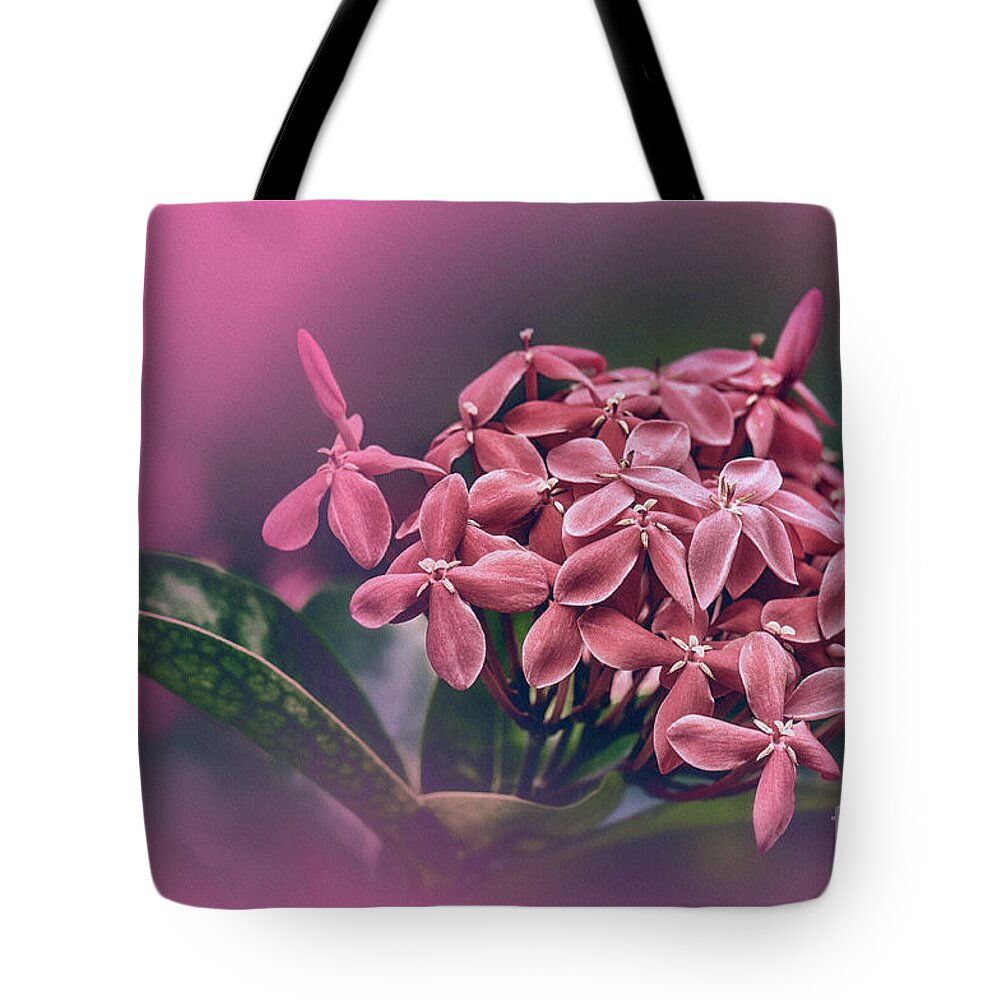 Flowers Tote Bag featuring the photograph Picturesque by Charuhas Images
